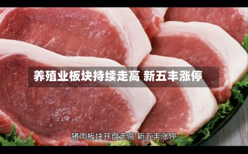 养殖业板块持续走高 新五丰涨停-第1张图片