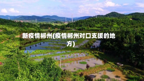 新疫情郴州(疫情郴州对口支援的地方)