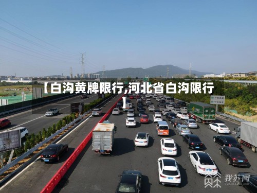 【白沟黄牌限行,河北省白沟限行】