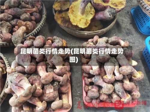 昆明菌类行情走势(昆明菌类行情走势图)