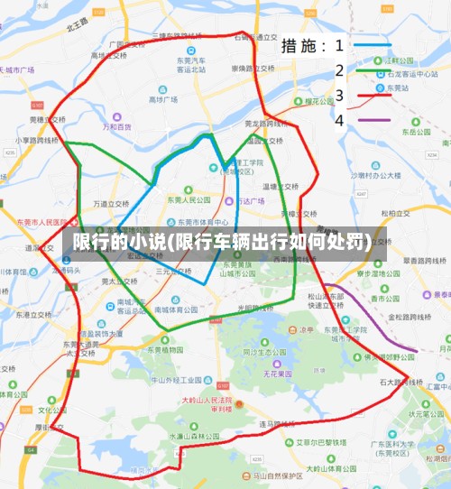 限行的小说(限行车辆出行如何处罚)