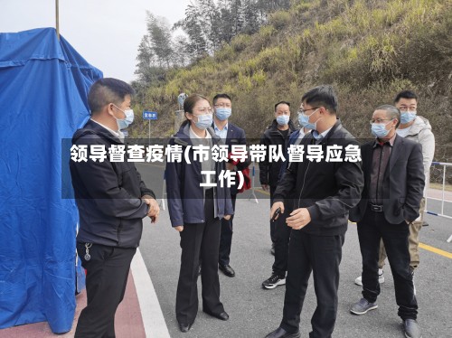 领导督查疫情(市领导带队督导应急工作)