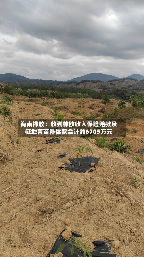 海南橡胶:收到橡胶收入保险赔款及征地青苗补偿款合计约6705万元-第3张图片