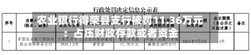 农业银行得荣县支行被罚11.36万元：占压财政存款或者资金