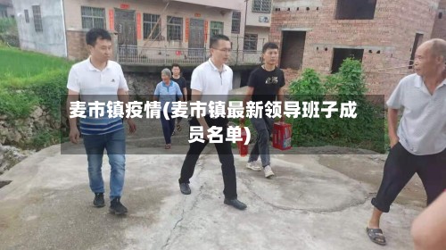 麦市镇疫情(麦市镇最新领导班子成员名单)-第3张图片