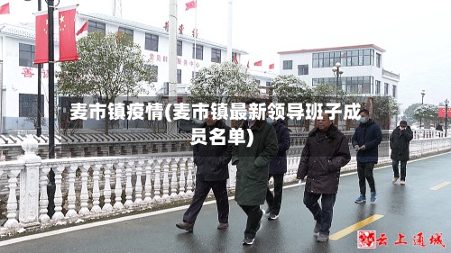 麦市镇疫情(麦市镇最新领导班子成员名单)-第2张图片