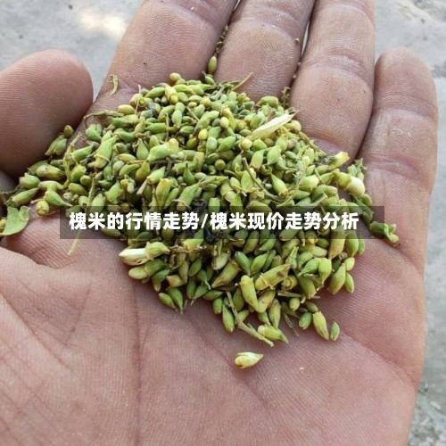 槐米的行情走势/槐米现价走势分析