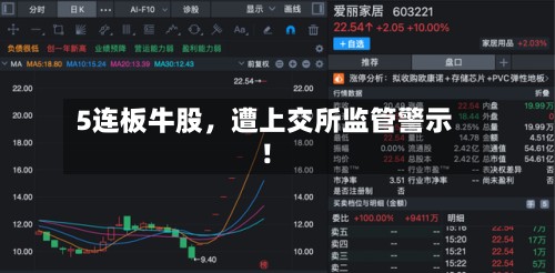 5连板牛股	，遭上交所监管警示！-第2张图片