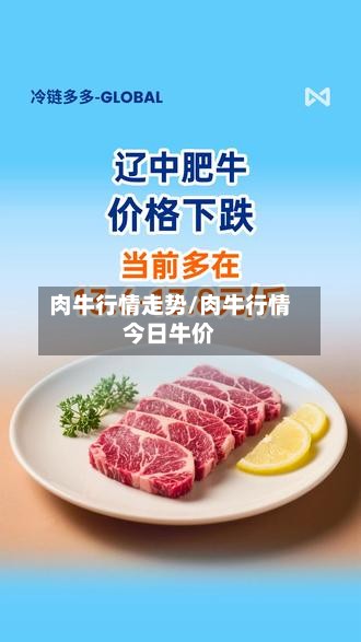 肉牛行情走势/肉牛行情今日牛价-第3张图片