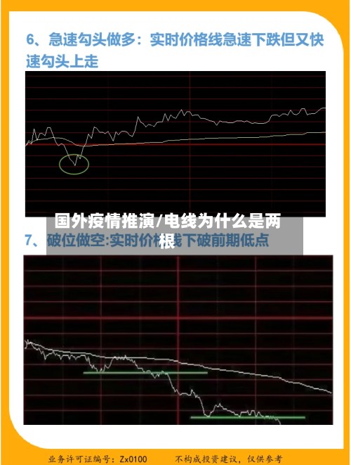 国外疫情推演/电线为什么是两根-第2张图片