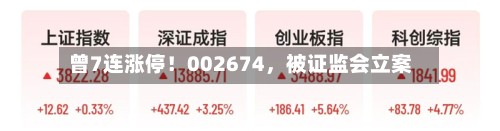曾7连涨停！002674，被证监会立案-第2张图片