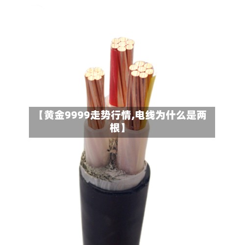 【黄金9999走势行情,电线为什么是两根】-第3张图片