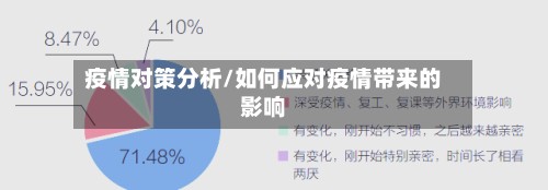 疫情对策分析/如何应对疫情带来的影响