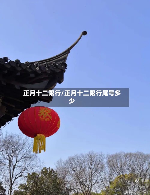 正月十二限行/正月十二限行尾号多少-第2张图片