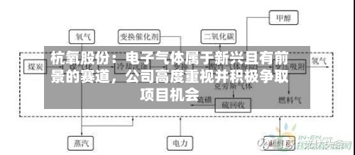 杭氧股份：电子气体属于新兴且有前景的赛道，公司高度重视并积极争取项目机会-第2张图片