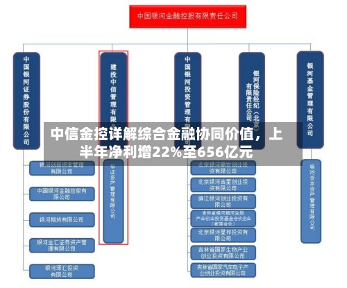 中信金控详解综合金融协同价值，上半年净利增22%至656亿元-第2张图片