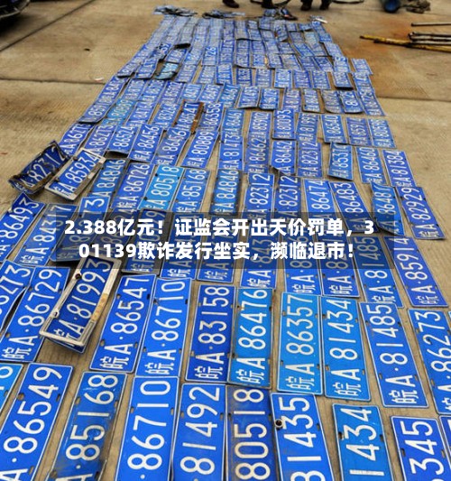 2.388亿元！证监会开出天价罚单，301139欺诈发行坐实，濒临退市！-第2张图片