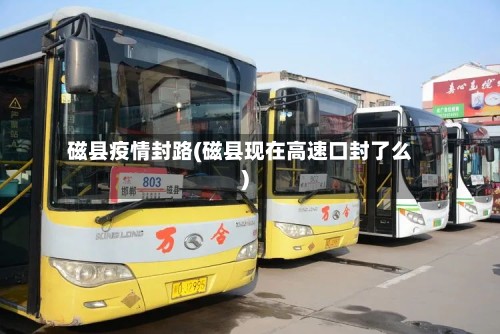 磁县疫情封路(磁县现在高速口封了么)-第2张图片