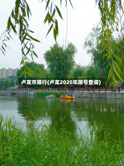 卢龙市限行(卢龙2020年限号查询)-第2张图片