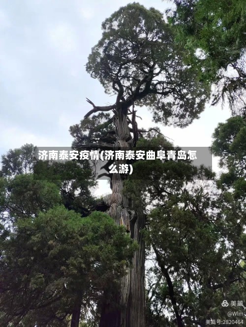济南泰安疫情(济南泰安曲阜青岛怎么游)-第2张图片