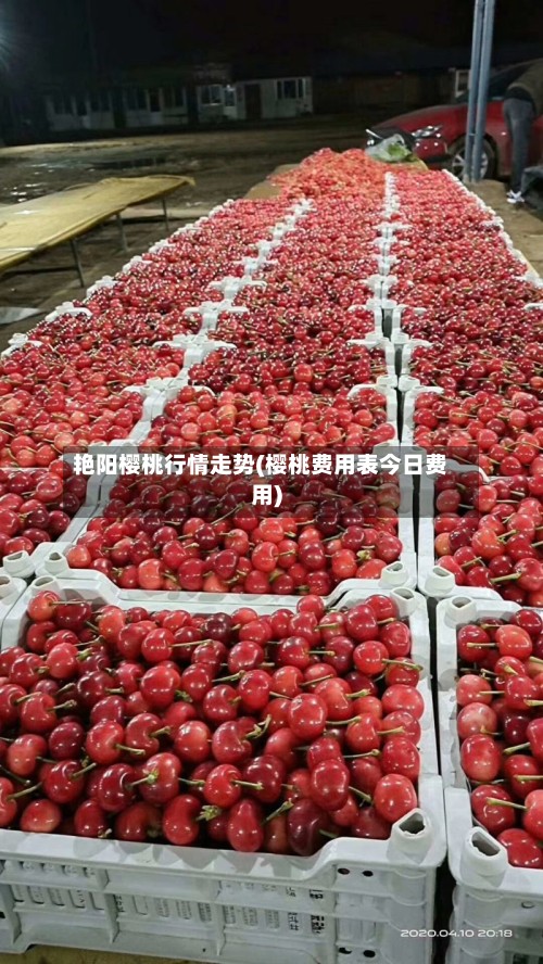 艳阳樱桃行情走势(樱桃费用表今日费用)-第2张图片