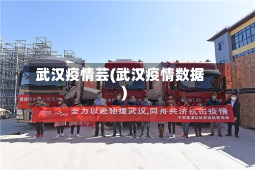 武汉疫情芸(武汉疫情数据)-第2张图片