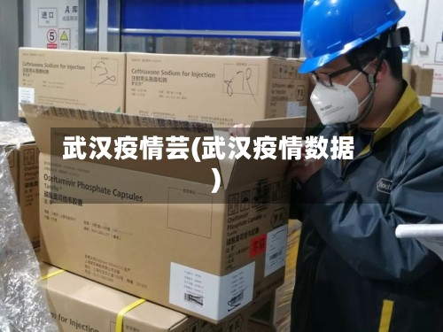 武汉疫情芸(武汉疫情数据)