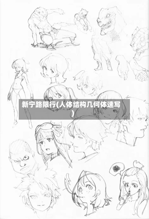 新宁路限行(人体结构几何体速写)