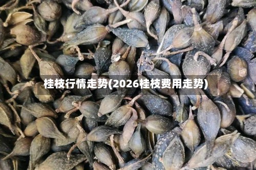 桂枝行情走势(2026桂枝费用走势)