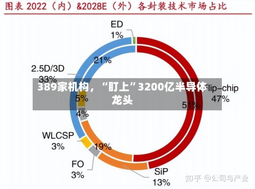 389家机构	，“盯上”3200亿半导体龙头-第2张图片