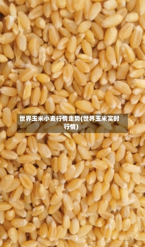 世界玉米小麦行情走势(世界玉米实时行情)-第2张图片
