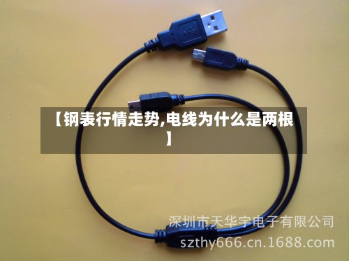 【钢表行情走势,电线为什么是两根】-第3张图片