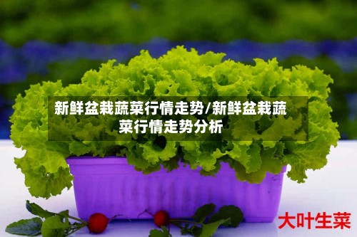 新鲜盆栽蔬菜行情走势/新鲜盆栽蔬菜行情走势分析