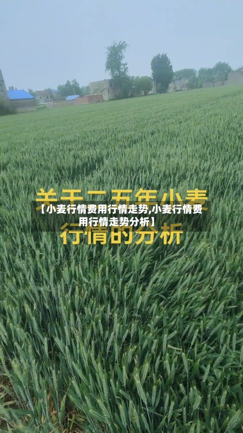 【小麦行情费用行情走势,小麦行情费用行情走势分析】-第2张图片