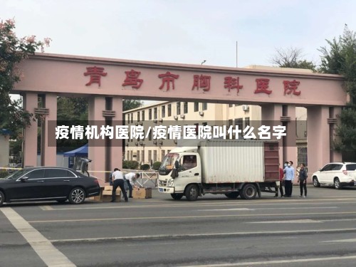 疫情机构医院/疫情医院叫什么名字-第2张图片