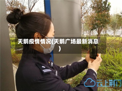 天鹅疫情情况(天鹅广场最新消息)