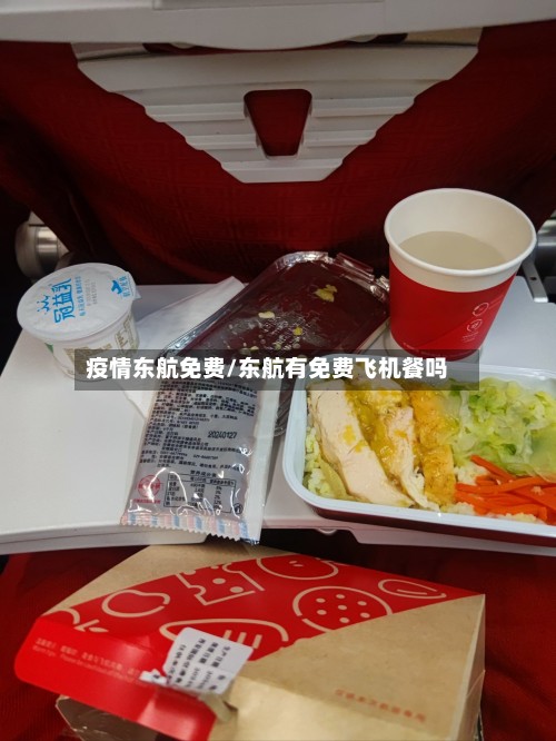 疫情东航免费/东航有免费飞机餐吗-第3张图片