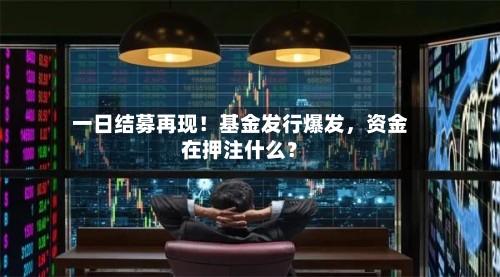 一日结募再现！基金发行爆发，资金在押注什么？-第2张图片