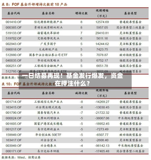 一日结募再现！基金发行爆发，资金在押注什么？-第3张图片