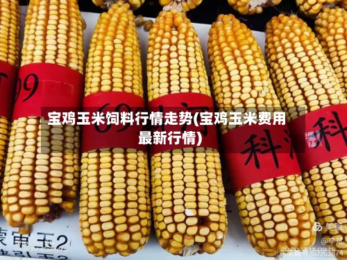 宝鸡玉米饲料行情走势(宝鸡玉米费用最新行情)