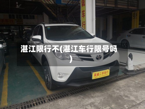 湛江限行不(湛江车行限号吗)-第2张图片