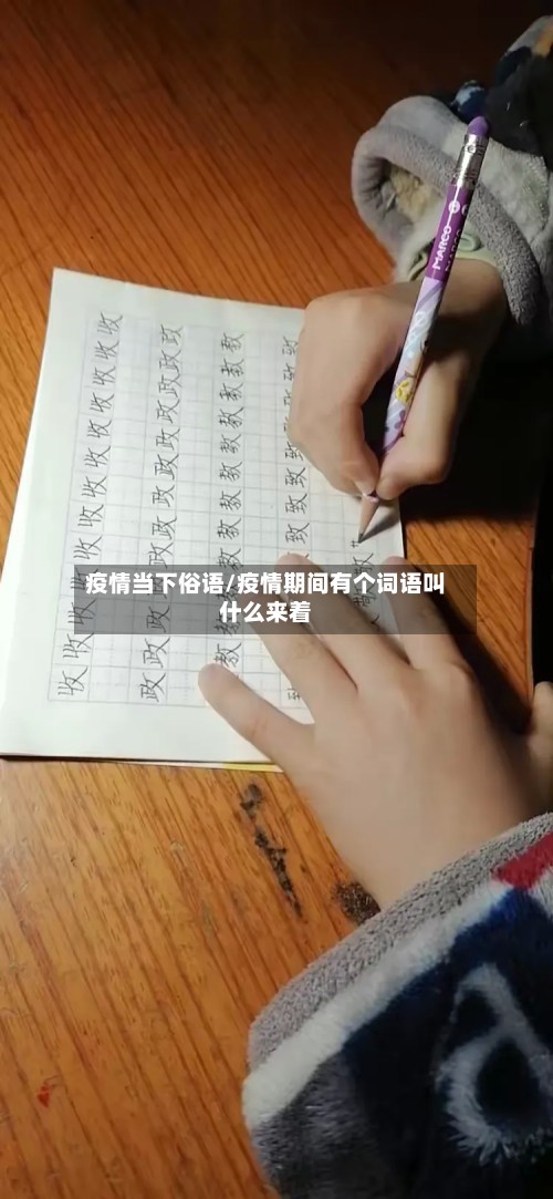 疫情当下俗语/疫情期间有个词语叫什么来着-第2张图片