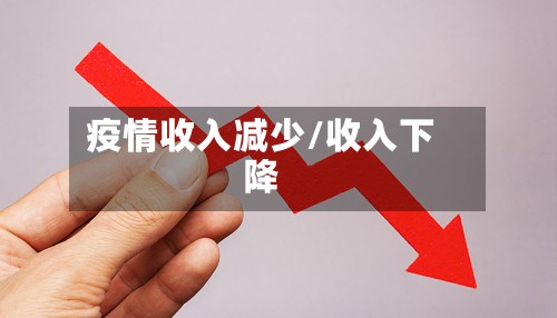 疫情收入减少/收入下降