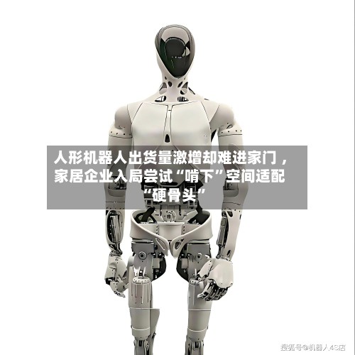 人形机器人出货量激增却难进家门 ，家居企业入局尝试“啃下”空间适配“硬骨头”-第2张图片