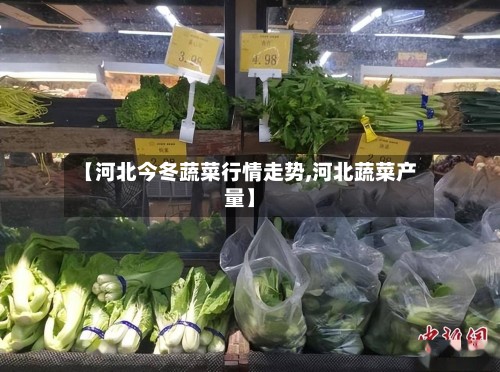 【河北今冬蔬菜行情走势,河北蔬菜产量】-第2张图片