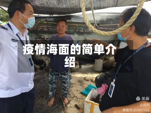 疫情海面的简单介绍-第3张图片