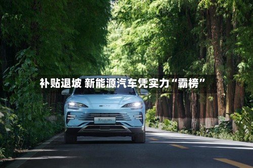 补贴退坡 新能源汽车凭实力“霸榜”-第3张图片