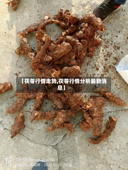 【茯苓行情走势,茯苓行情分析最新消息】