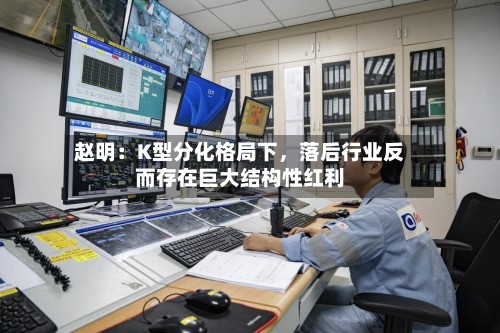 赵明：K型分化格局下，落后行业反而存在巨大结构性红利-第3张图片