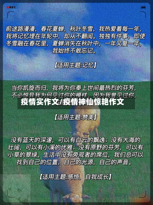 疫情实作文/疫情神仙惊艳作文